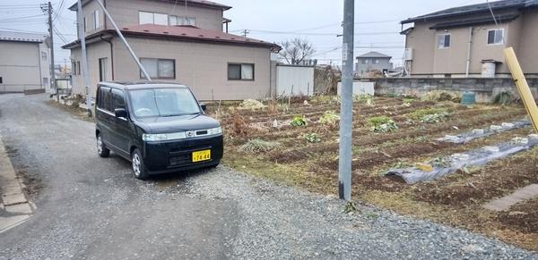 西側から撮影