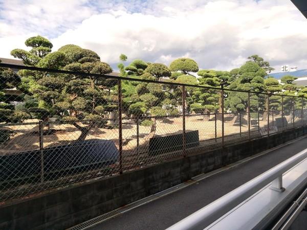 池田市神田マンション 眺望