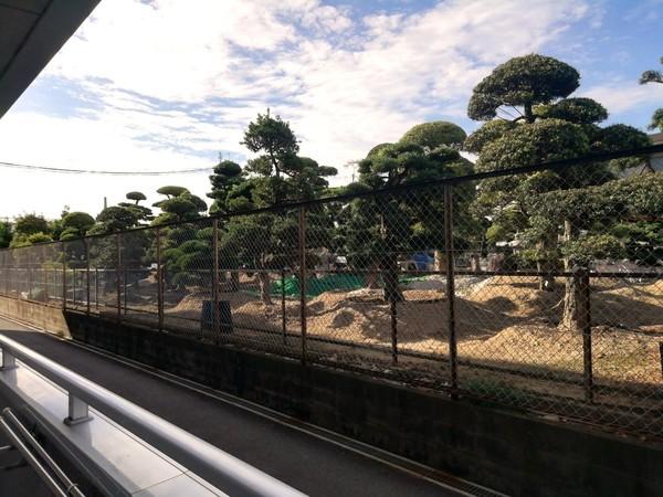 池田市神田マンション 眺望