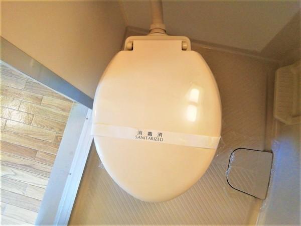 ロイヤルコート上池田（104） トイレ