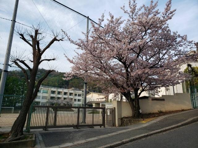池田市立五月丘小学校：174m