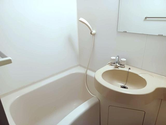シャトー栄根Ⅱ（402） 部屋画像