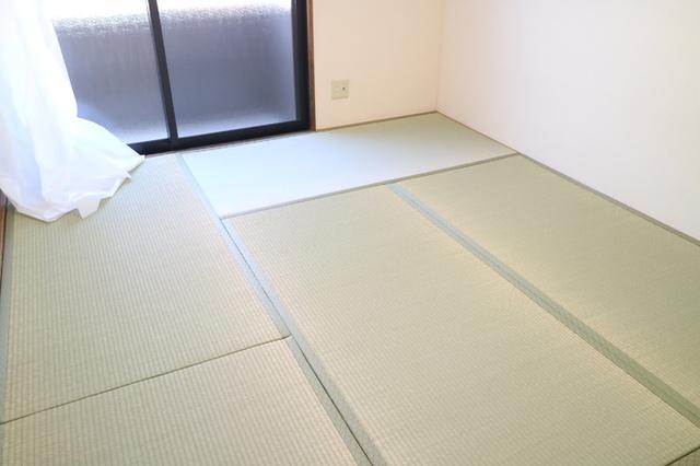 グリーンハウス新伊丹（207） 部屋画像