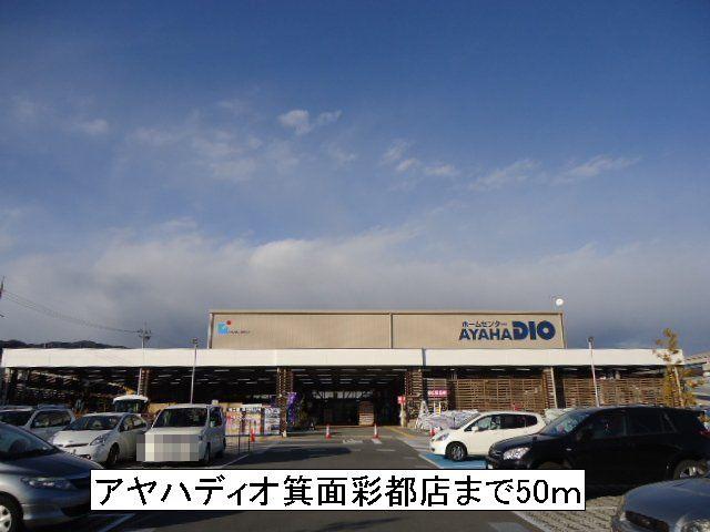 アヤハディオ：50m