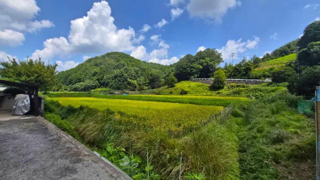 能勢町柏原中古戸建(オーナーチェンジ) 眺望