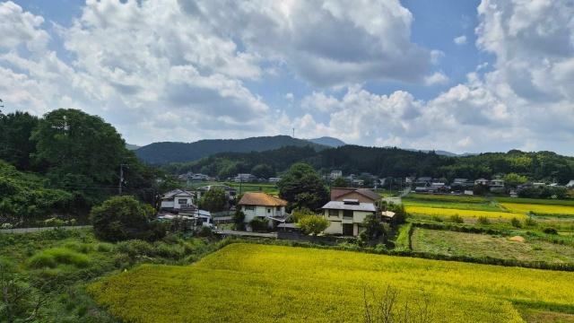 能勢町柏原中古戸建(オーナーチェンジ) 眺望