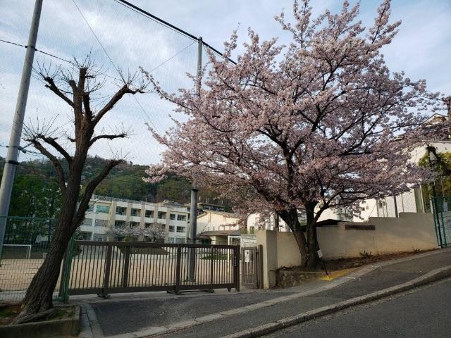 池田市立五月丘小学校