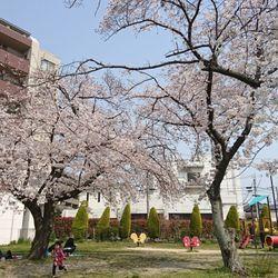 公園