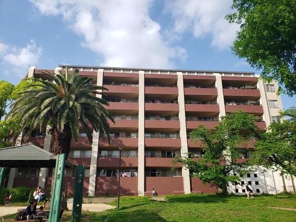 建物南側は公園なので解放感あり