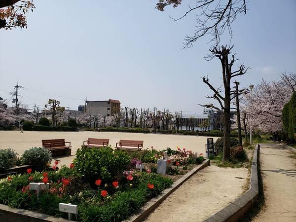 公園