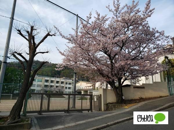 小学校