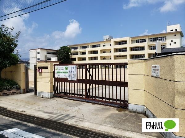 小学校
