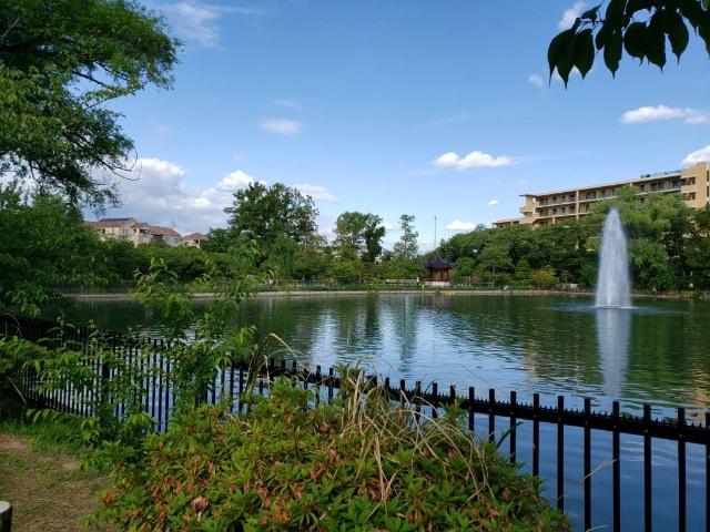 公園