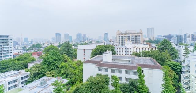 Ｐｒｉｍｅ　Ａｒｔ白金台（1102） 眺望