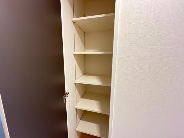 エクセレントタワー 収納