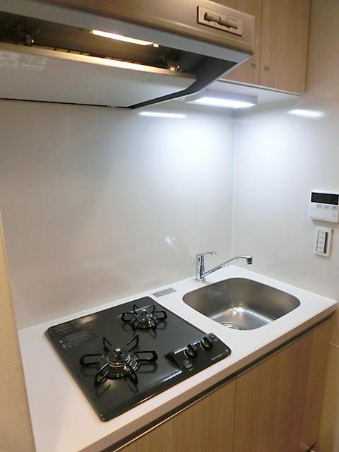 市谷仲之町ビューアパートメント（703） 部屋画像
