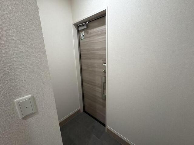 セレスティア谷在家Ⅱ（105） 玄関