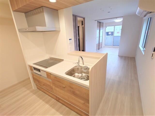 Asset-Court立川上砂町5丁目　A棟（203） 部屋画像