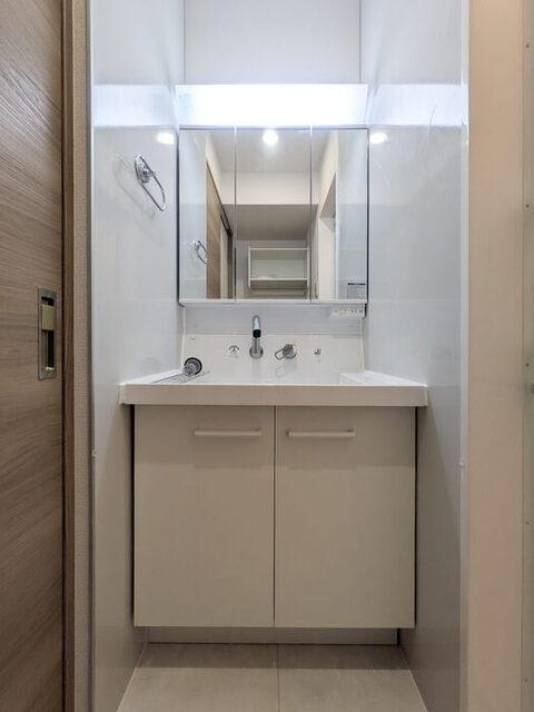 D-ROOM寺町（103） 洗面