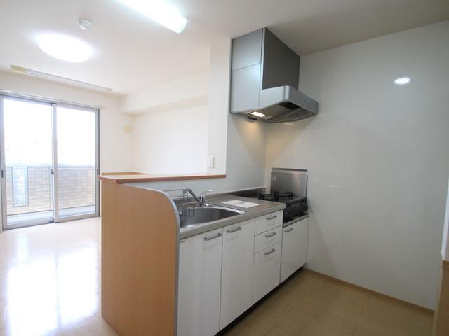 カサベルデ長岡（302） 部屋画像