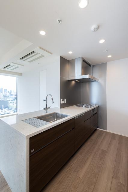 ＳＨＩＲＯＫＡＮＥ　Ｔｈｅ　ＳＫＹ　Ｅ棟（2302） 部屋画像