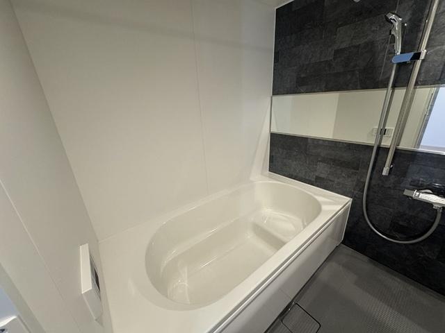セレスティア細田A（205） 部屋画像