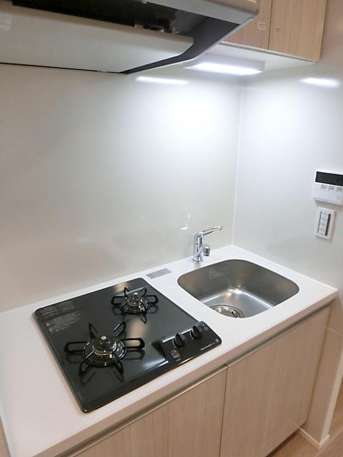 市谷仲之町ビューアパートメント（401） 部屋画像