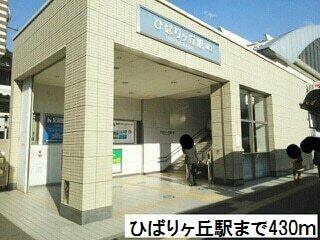 ひばりヶ丘駅：430m