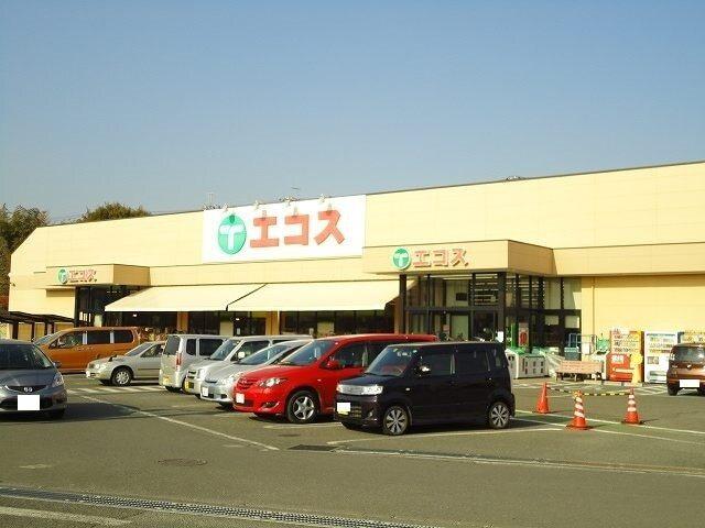 スーパーエコス：1000m