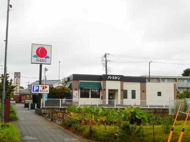 バーミヤン：450m