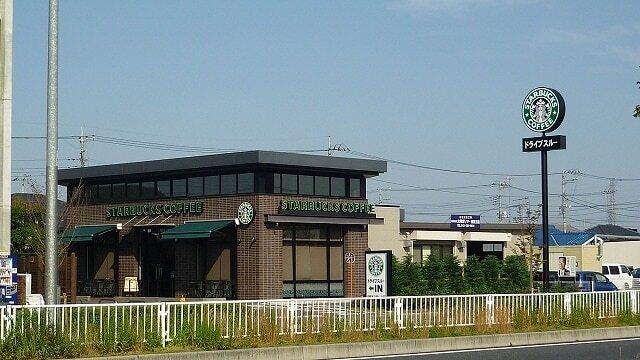 スターバックス：600m