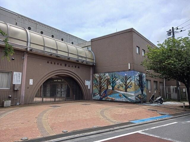 碧山小学校：37m