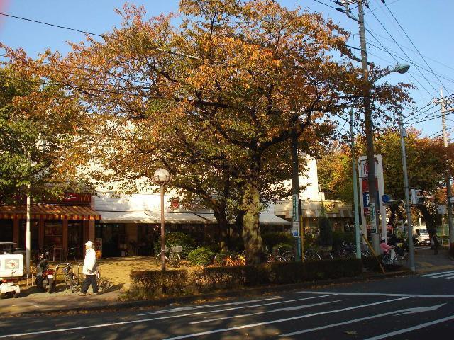 大丸ピーコック国立さくら通り店：378m