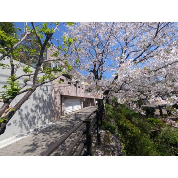 東京都世田谷区代田２丁目