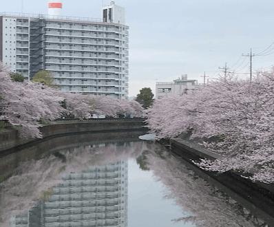 武蔵野の路