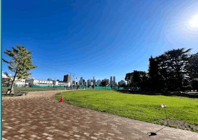 中野区立南台いちょう公園