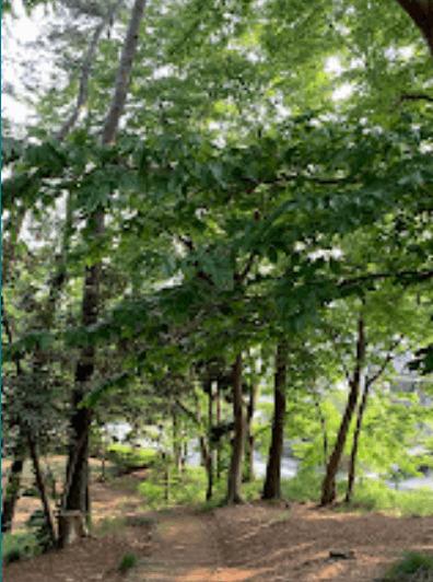 実籾自然公園