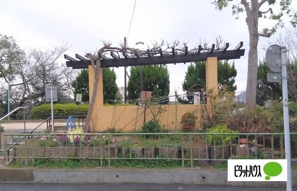 公園