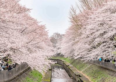 公園