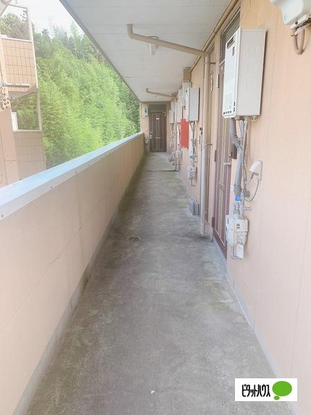 グリーンプラザ八木（303） ロビー