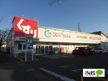 スギ薬局中河町店：703m