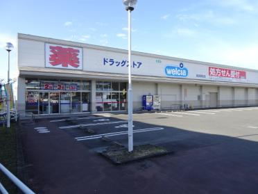 ウエルシア　若松店：450m