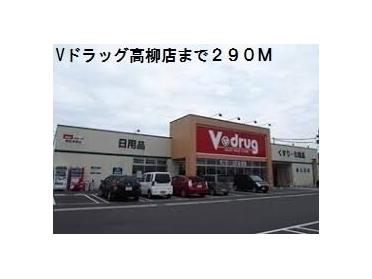 Vドラッグ高柳店：290m