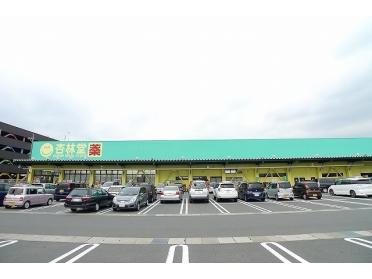 杏林堂　稲荷店：1000m