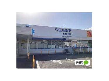 ウエルシア焼津ねぎ島店：519m