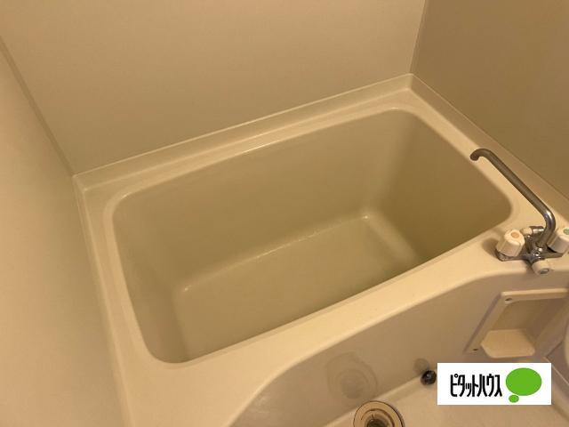 Surplus ホープ（202） バス／シャワー