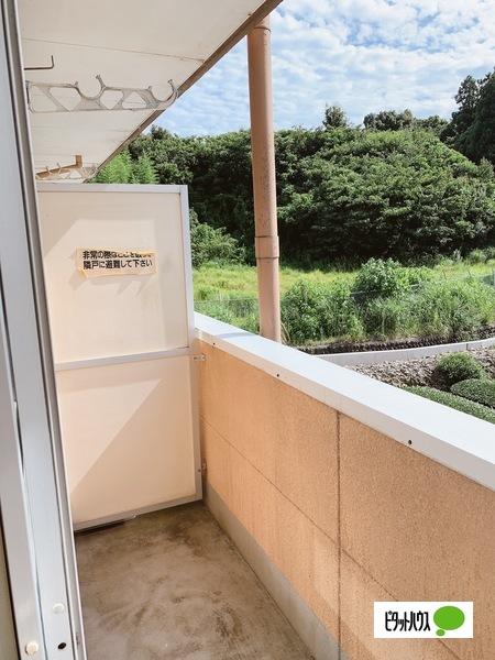 グリーンプラザ八木（303） バルコニー