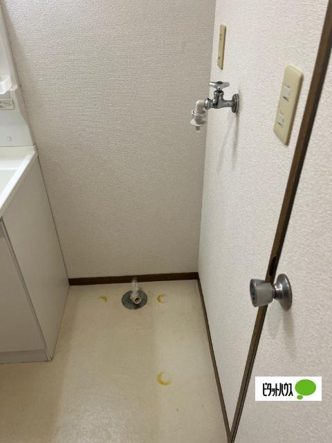 ベラソシア（101） その他