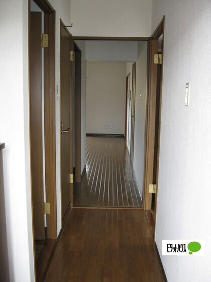 クレッセント江崎（301） 玄関