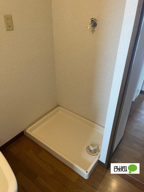 エバーグリーン（A302） その他